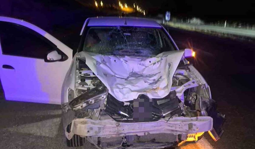 Siirt’te otomobilin çarptığı at telef oldu