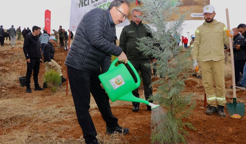 Siirt’te 11 Kasım Millî Ağaçlandırma Günü Coşkusu: “Geleceğe Nefes, Dünyaya Nefes”
