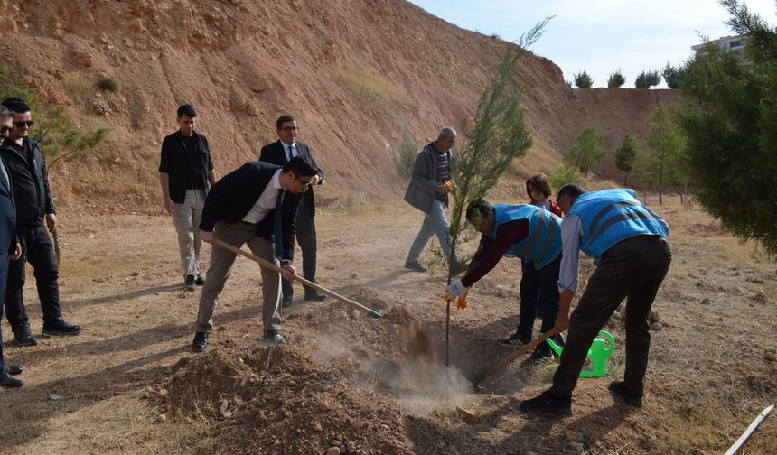 Siirt’te 11 Kasım Milli Ağaçlandırma Günü’nde Fidanlar Toprakla Buluştu