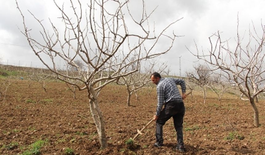 Siirt’te Beklenen Yağışlar Çiftçinin Yüzünü Güldürdü