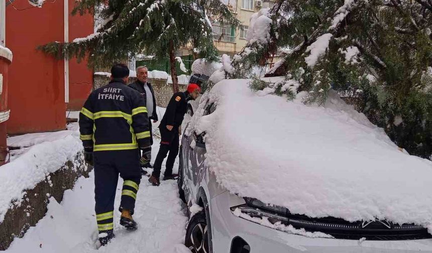 Siirt’te Karın Ağırlığına Dayanamayan Çam Ağacı Otomobilin Üzerine Devrildi