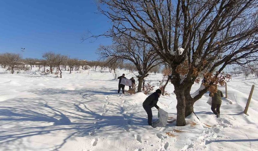 Siirt’te Yaban Hayvanları İçin Doğaya Yem Bırakıldı