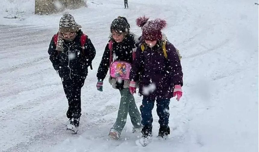 Pervari’de Kar Tatili: Okullar 1 Gün Süreyle Kapalı