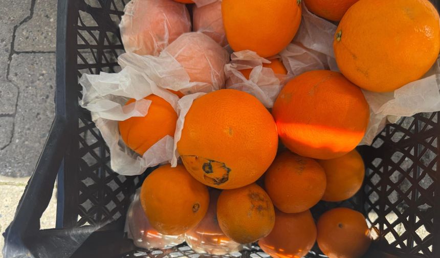 Bir kasanın iki yüzü