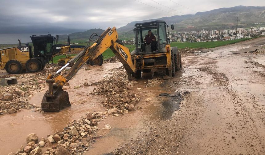 Siirt’te Sel Felaketi: Tarım Alanları Zarar Gördü, Yüzlerce Hayvan Telef Oldu