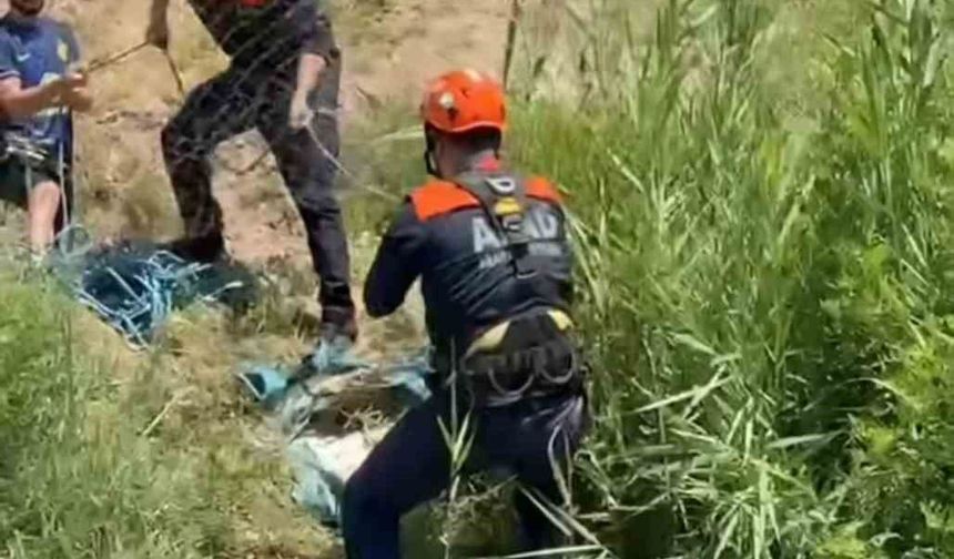 Siirt’te Kuyuya Düşen Köpek AFAD Ekiplerinin Operasyonuyla Kurtarıldı