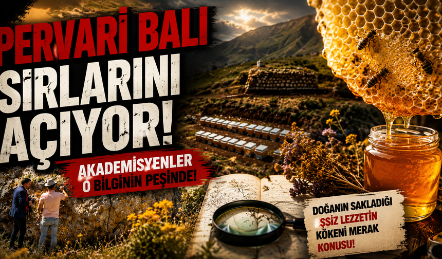 Pervari Balı İçin Tarihi Araştırma! Tescilli Baldaki Sır Perde Açılıyor
