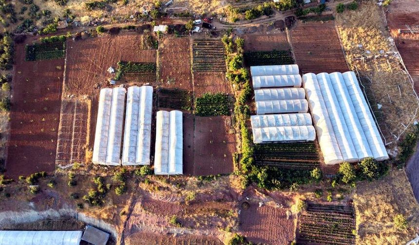 Siirt'in "Ulaştı Köyü" Sera Üretimiyle Dikkat Çekiyor