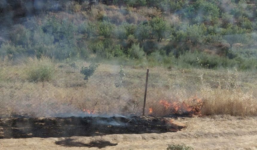 Anız Yangını Meyve Bahçesine Sıçradı: Yaklaşık 100 Ağaç Zarar Gördü