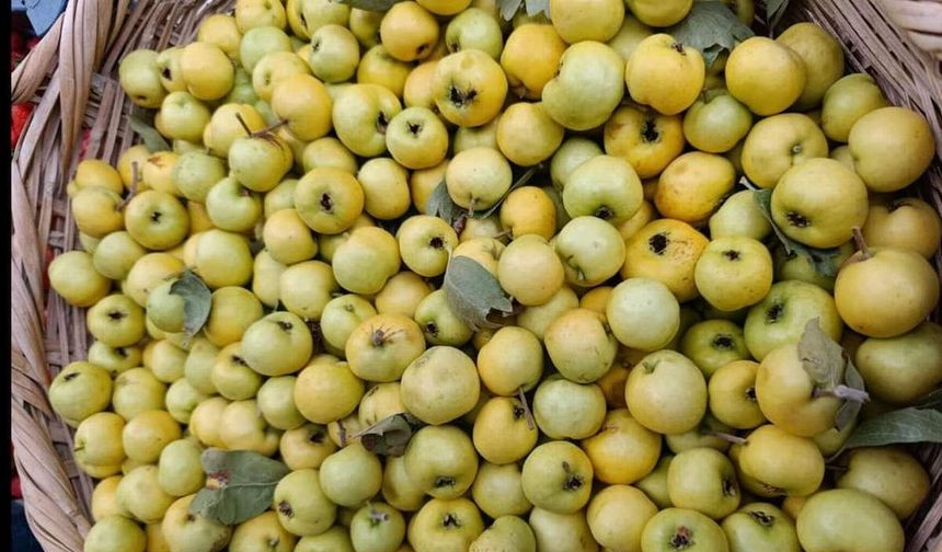 Siirt’te Alıç Tezgâhlardaki Yerini Aldı: Kilosu 500 TL