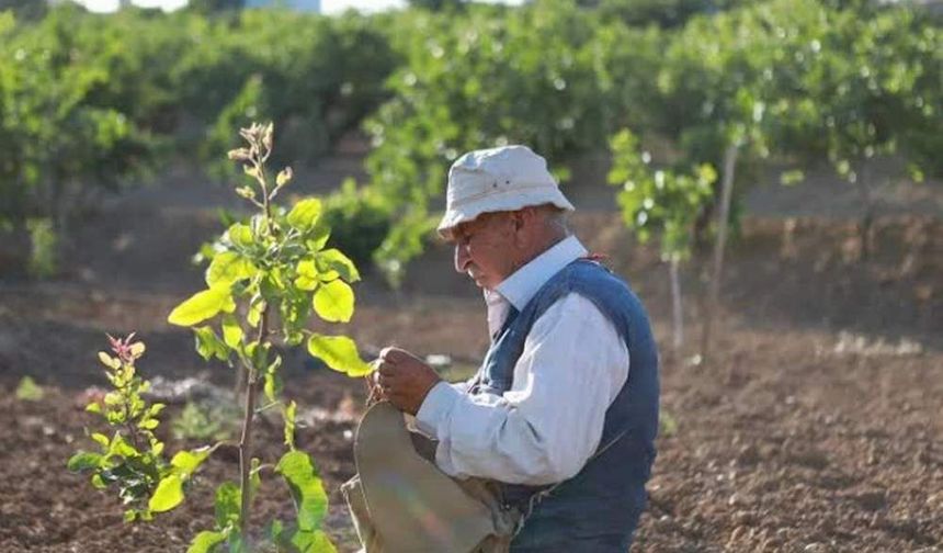 Uyumlu Erkek Aşısı Verimi Katladı