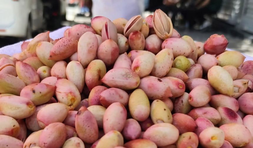 Siirt'te Yeşil Fıstık Tezgâhlardaki Yerini Aldı