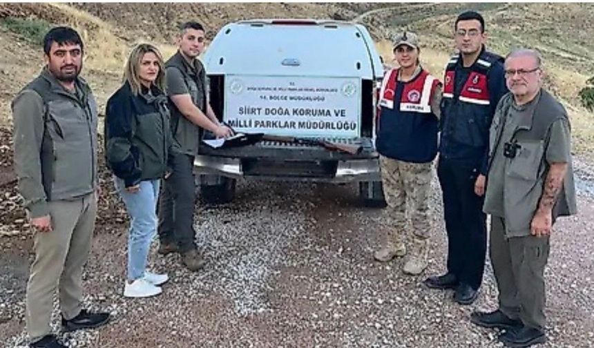 Siirt’te Kaçak Avcılığa Geçit Verilmiyor
