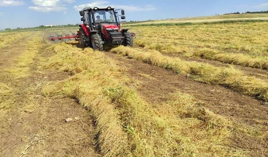 Siirt’te Mercimek Desteğinde Hak Sahipleri Açıklandı
